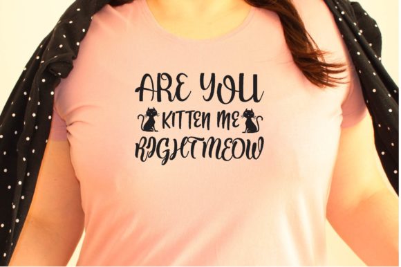 ARE YOU KITTEN ME RIGHT MEOW SVG DESIGN